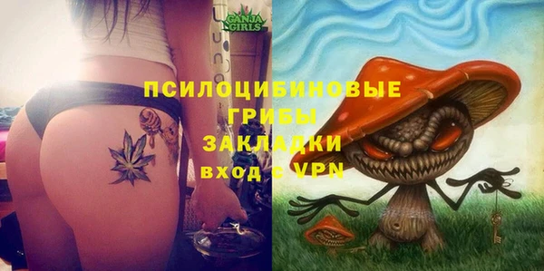тгк Протвино
